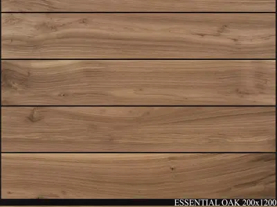 Ariana Ceramica Essential Oak 200x1200 3D model