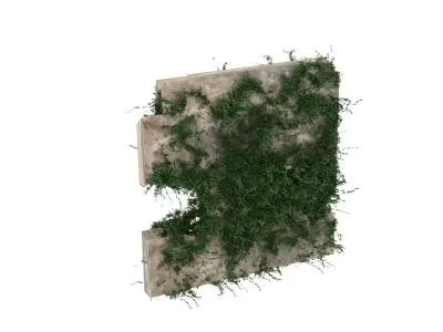 Moss Wall 3D model