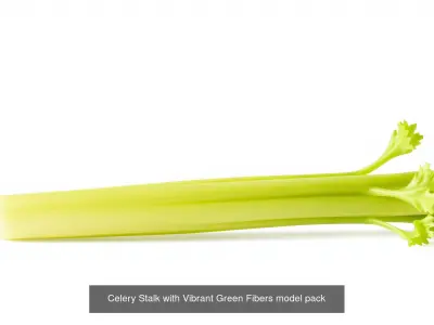 Realistic Vegetable Models Pack