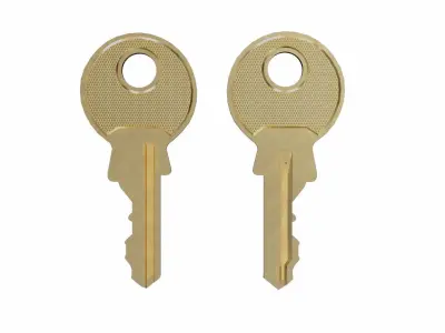 Flat key collection 3D model