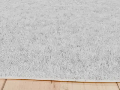 Carpet 02 3D model