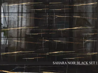 Decovita Sahara Noir Black 600x1200 Set 1 3D model