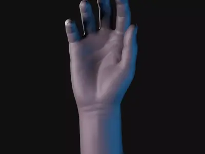 Hand Relaxed Artist mannequin 3D model