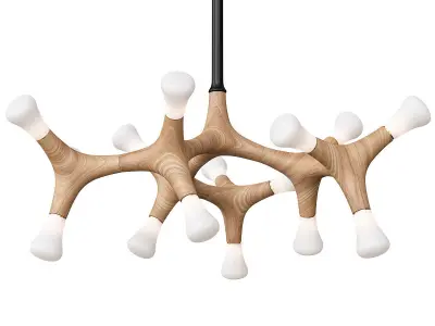 Root Anzazo-P5 3D model