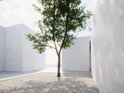 Forest tree 3D model