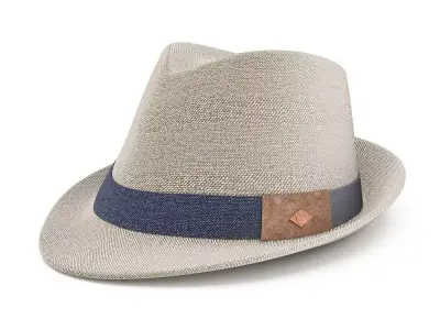 The Bastion Hat  3D model