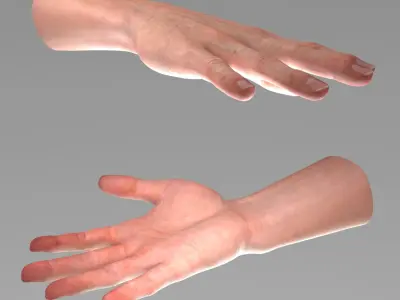  Realistic Male Hand Rigged 
