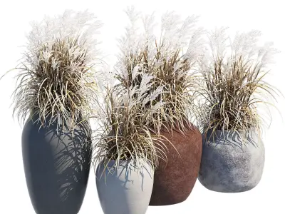 Ronan Ficonstone Indoor 3D model