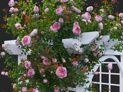 Climbing Rose - Rose Swing 3D model