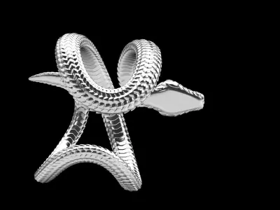 Ring Snake  3D print model
