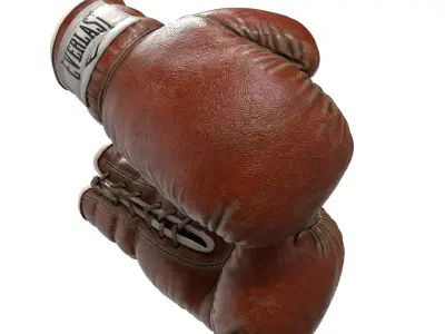 Everlast Realistic Boxing Gloves Low-poly 3D model