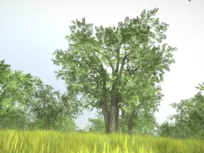 Honey Tree Package Low-poly 3D model