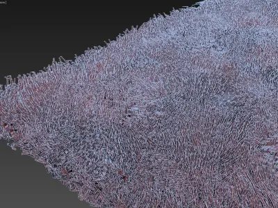 Carpets 19 3D model