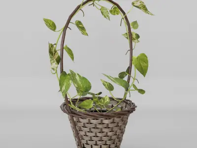 Basket Pothos Low-poly 3D model