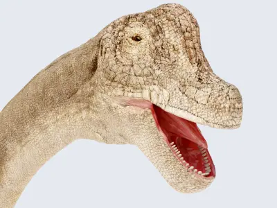  Brachiosaurus-Altitorax 