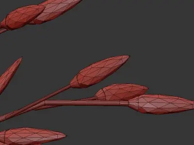 Flora Grace 3D model