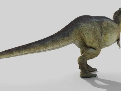  Tyrannosaurus Rex T-Rex Anatomically Accurate Model 