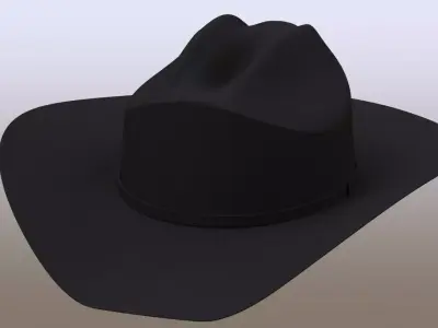 Stetson Hat Free 3D model