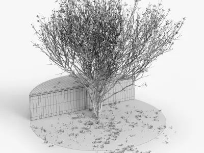 Autumn cactus on bench 3D model