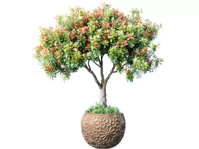 Decorative flowering garden tree in a pot flowerpot urn 3D model