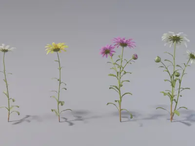  Flower collection vol06 Daisy 