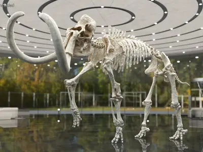  Dinosaur Skeletons Rigged for Maya Collection 