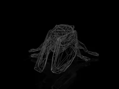 Cicada Wireframe Low-poly 3D model
