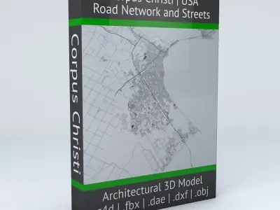 Corpus Christi Road Network and Streets 3D model