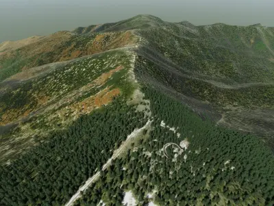 Clingmans Dome Tennessee 3D model