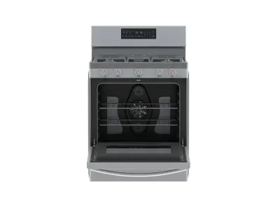 Samsung Gas Range with Convection 3D model