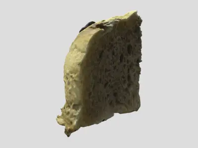 Olive bread slice 3D model