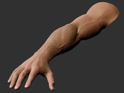  Realistic Male Arm 