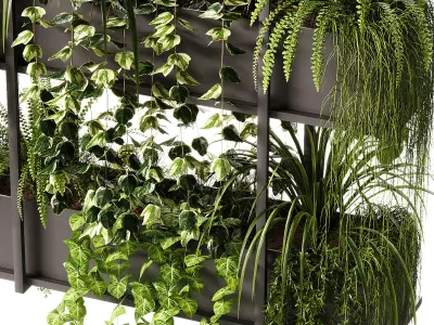 Indoor Plants - 23  Hanging plants 3D model
