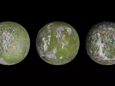 3 Surface of Stone Moss set  3D model