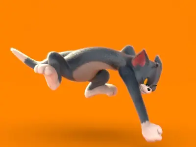 Tom Free Rigged  Free High-poly 3D model  Texture