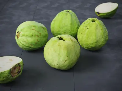 Guavas Green 6 Models