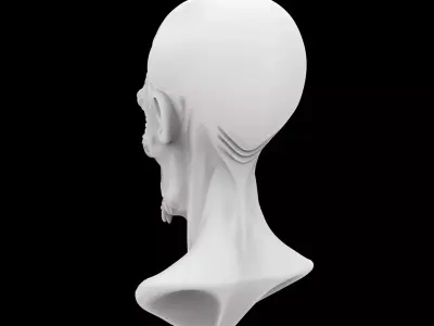 Ancient Alien Bust 3D Print Model 3D print model
