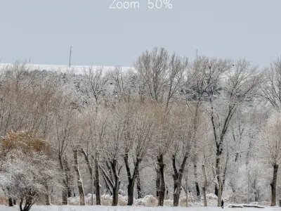 Panorama of the park with a lake and snow-covered trees - 45k 3D model