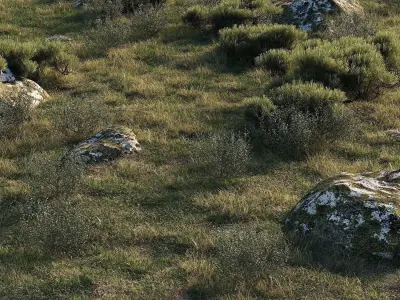 Forest Landscape 3D model