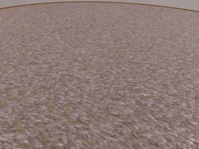 Carpet 3D model