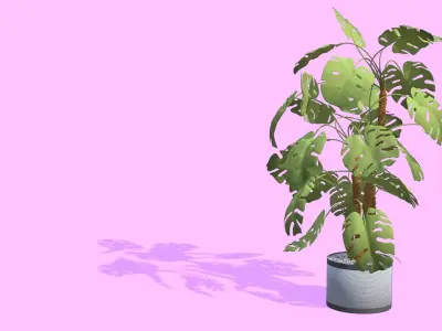 Houseplant in a pot Free low-poly 3D model