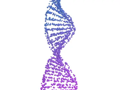 DNA Molecule v4 014 3D model