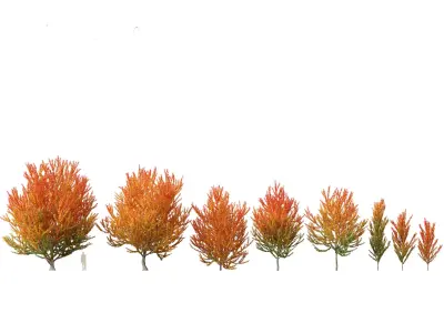 Autumn Colors Collection Pack 06 3D model