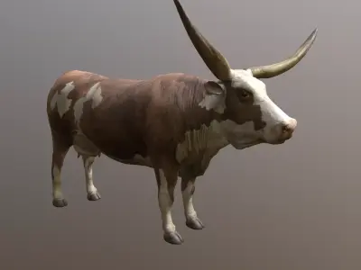 Longhorn Cow Animated and Rigged 3D model Low-poly 3D model