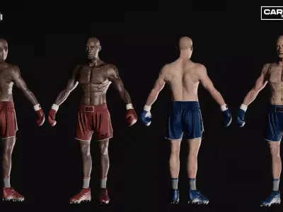 Boxing Fighters Pack LowPoly PBR  Low-poly 3D model
