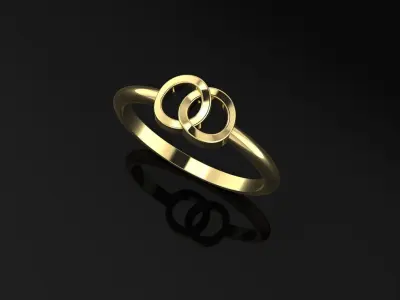 Ring Circles 3D print model