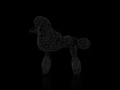 Poodle Wireframe Low-poly 3D model