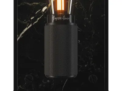 Buster and Punch Cage Wall Medium 3D model