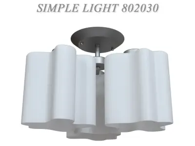 Ceiling chandelier SIMPLE LIGHT 802030 3D model