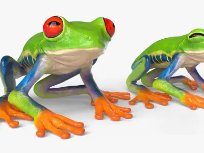  Idle Red Eyed Tree Frog Animated Rigged for Blender 